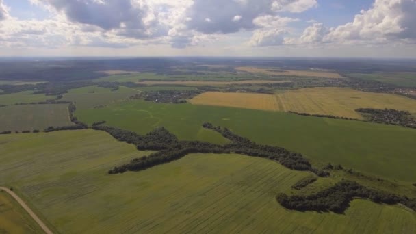 Luchtfoto van landbouwgronden — Stockvideo