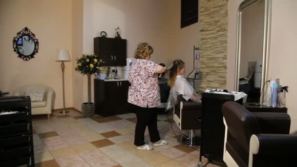 Cabeleireiro mulher seca o secador de cabelo — Vídeo de Stock