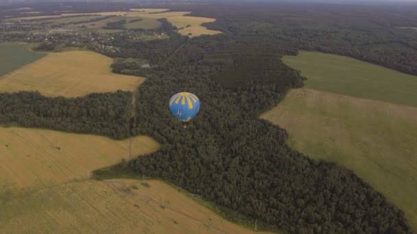 麦畑の上空で、熱気球。航空写真ビュー — ストック動画