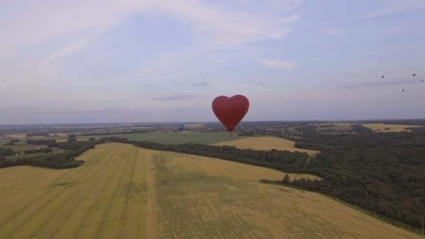 Sıcak hava balonu gökyüzüne bir buğday alanın üzerinde. Havadan görünümü — Stok video