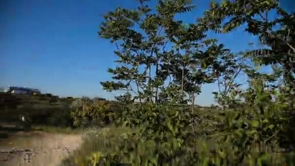 Ciclista masculino montando en un camino de montaña en una bicicleta de montaña . — Vídeos de Stock