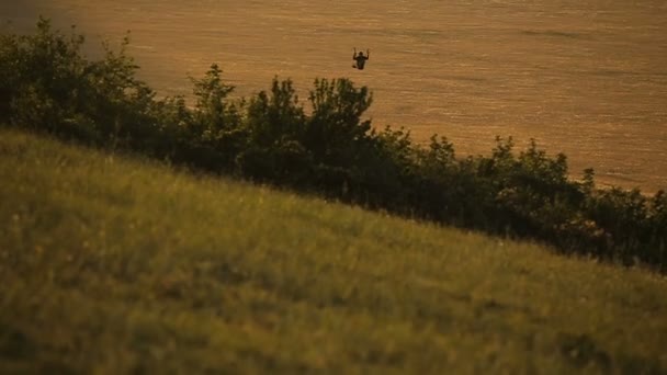 草原の上空でパラグライダー. — ストック動画