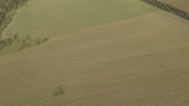 Rolos de palheiro no campo.Vídeo aéreo . — Vídeo de Stock