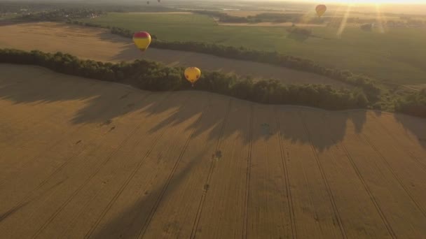 Повітряні кулі в небі над полем. Вид з повітря — стокове відео