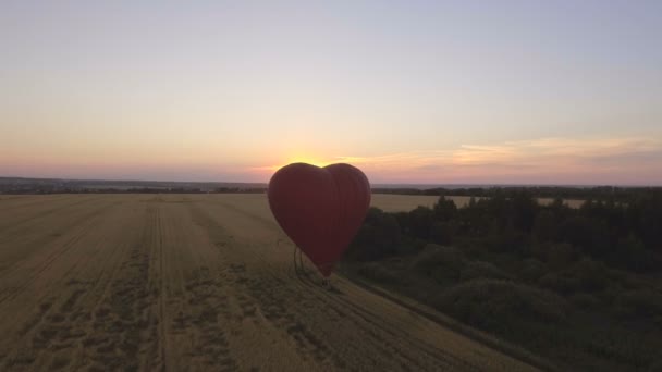 Balão de ar quente no céu sobre um campo de trigo. Vista aérea — Vídeo de Stock