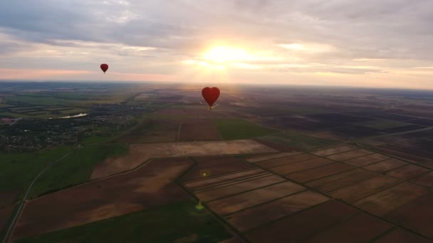 Palloncino ad aria calda nel cielo su un campo. Vista aerea — Video Stock