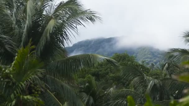 Landschaft der Berge und sky.camiguin Insel. — Stockvideo