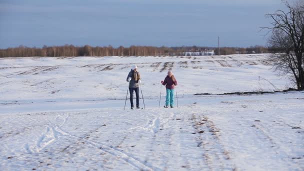 Längdskidor på fältet. — Stockvideo