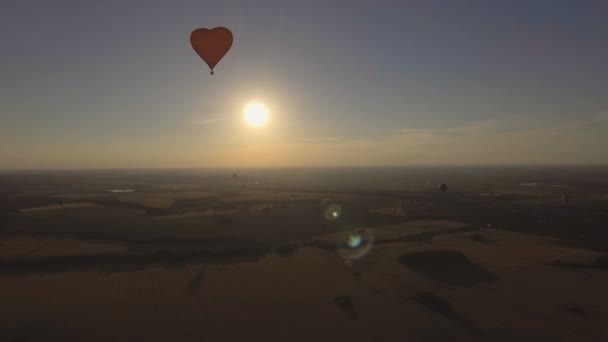 Luftballong i himlen över ett vete fält. Flygfoto — Stockvideo