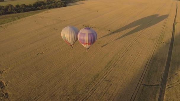 Hete lucht ballonnen in de lucht over een veld. Luchtfoto — Stockvideo