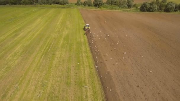 Tractor ploegen een veld.Luchtfoto. — Stockvideo