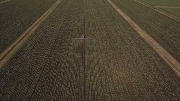 Trekker is sproeien meststoffen aardappel veld. Luchtfoto video. — Stockvideo