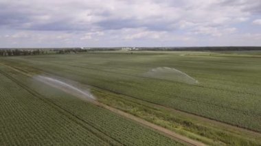Havadan görünümü: makine bir patates alanda sulama