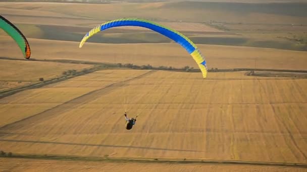 Paraglider i himlen över stäppen. — Stockvideo