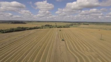 Havadan görünümü birleştirmek bir alan buğday hasat.