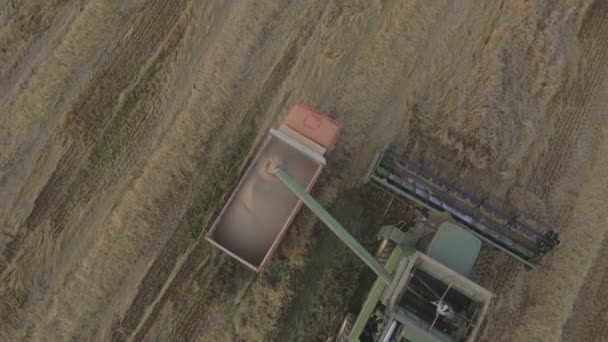 Aerial view combine unloads grain in the truck. — Stock Video