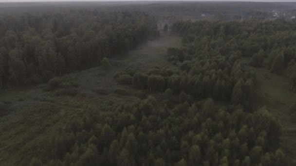 Voando sobre a floresta.Vista aérea . — Vídeo de Stock