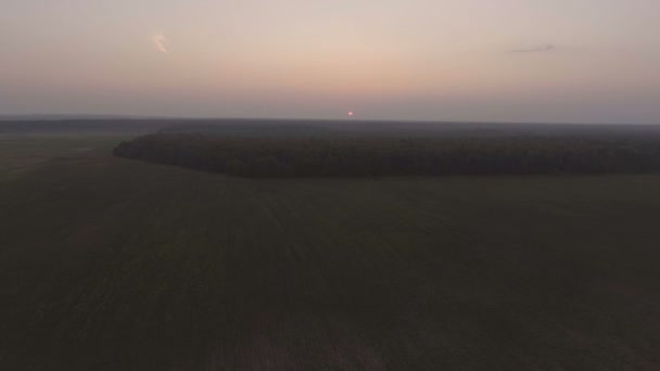 Coucher de soleil sur la forêt.Vidéo aérienne . — Video