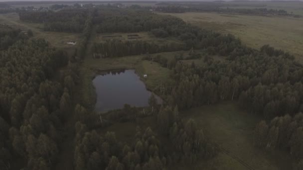 Aerial view.Flying over the forest. — Stock Video