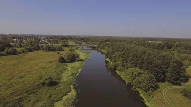 Über den Fluss fliegen — Stockvideo