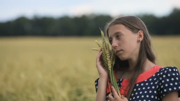 Güzel genç genç kız buğday buğday alanında kulaklı. — Stok video