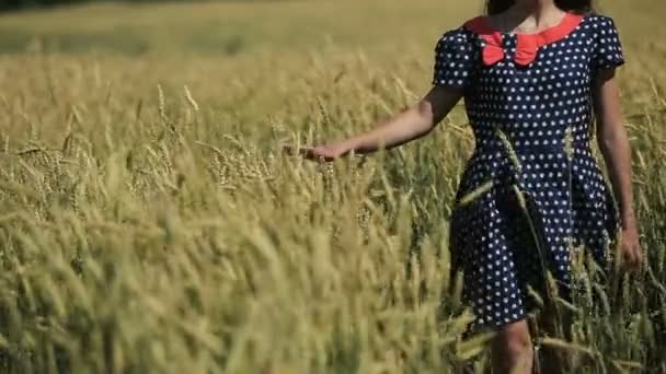 Hand of girl in the wheat field. — Stock Video