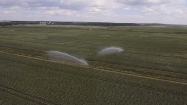 Widok z lotu ptaka: nawadniania maszyny w kartoflisku — Wideo stockowe