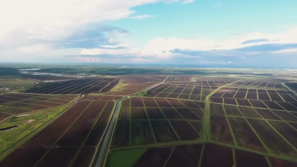 Luftaufnahme von landwirtschaftlichen Flächen — Stockvideo