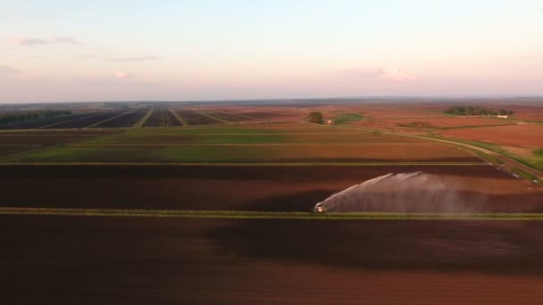 Vista aérea: Sistema de riego que riega un campo agrícola. — Vídeos de Stock