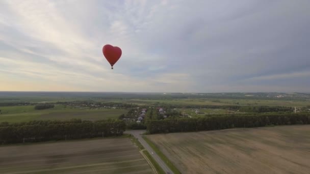 Balon na ogrzane powietrze w niebo nad polem. Widok z lotu ptaka — Wideo stockowe