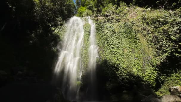 Schöner tropischer Wasserfall. — Stockvideo