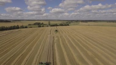 Havadan görünümü birleştirmek bir alan buğday hasat.