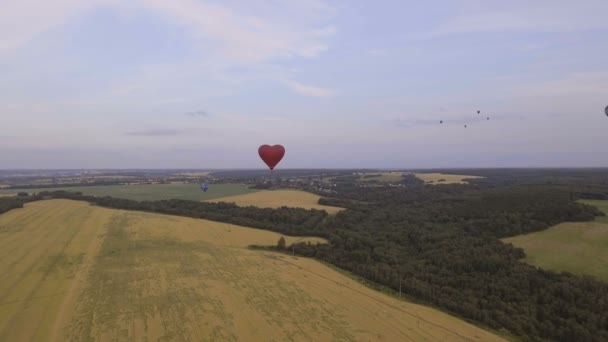 Luchtballon in de lucht over een tarweveld. Luchtfoto — Stockvideo