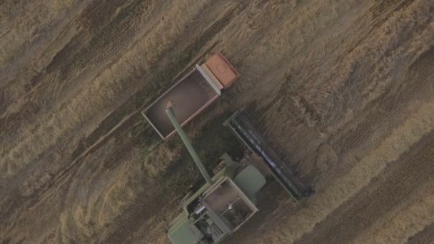 Vista aérea combinar las descargas de grano en el camión . — Vídeo de stock