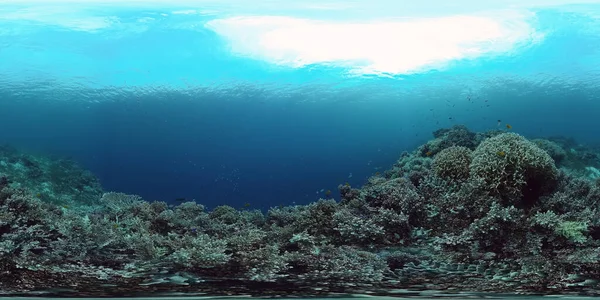 Korálový útes s rybami pod vodou 360VR. Camiguin, Filipíny — Stock fotografie