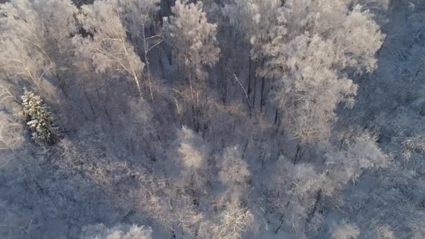 Paisagem de inverno no campo — Vídeo de Stock