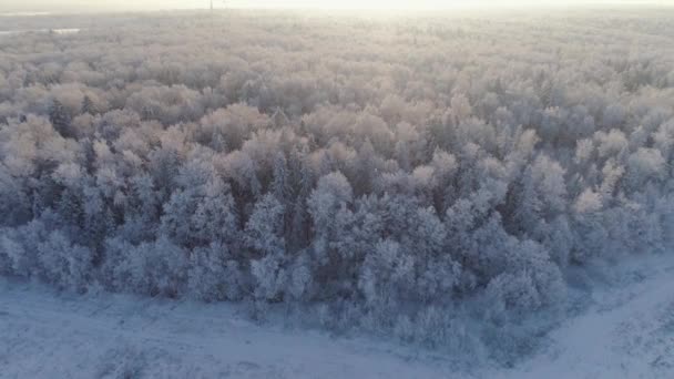 Paisaje invernal en el campo — Vídeo de stock