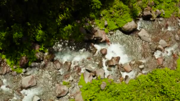 Rivière coulant dans la jungle montagneuse, Philippines, Camiguin. — Video