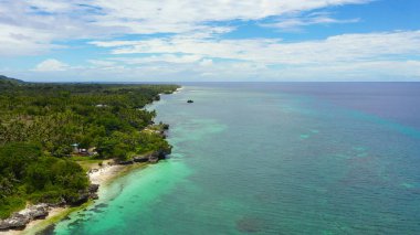 Güzel sahil ve turkuaz deniz. Anda Bohol, Filipinler.