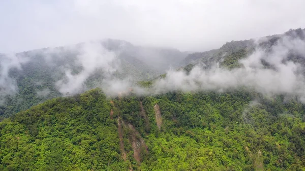 Montagnes avec forêt tropicale et nuages. Philippines, Mindanao — Photo