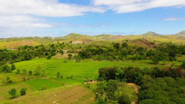 Tropikal bitki örtüsü olan tepeler ve dağlar. Bohol, Filipinler.