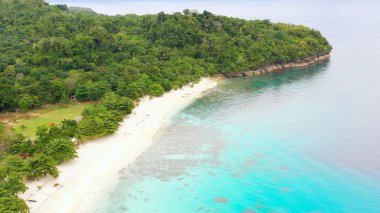 Kumsal ve palmiye ağaçları. Filipinler, Mindanao.