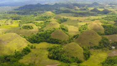 Çikolata tepeleri. Bohol Filipinleri..