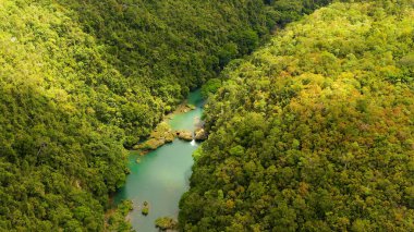 Ormandaki Loboc nehri. Bohol, Filipinler.