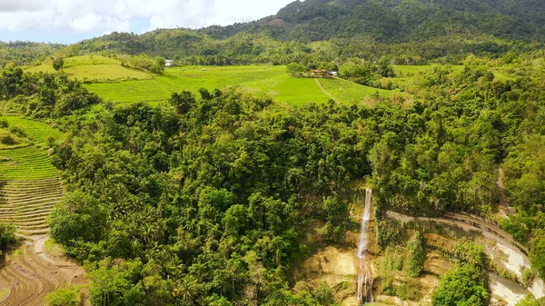 Водопад и рисовые террасы. Феодосия, Филиппины. — стоковое фото