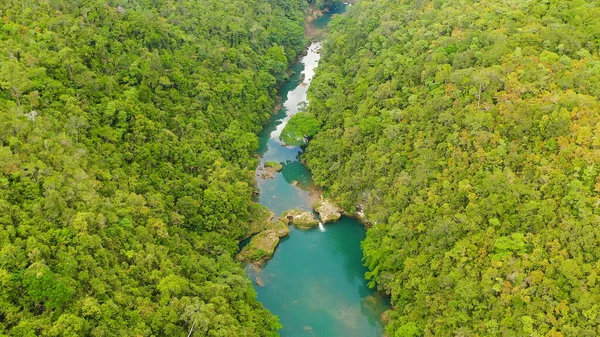 Rio Loboc na selva. Bohol, Filipinas. — Fotografia de Stock