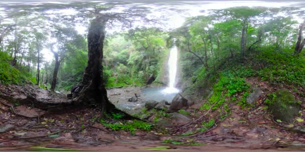 아름다운 열대 폭포, 필리핀. 360VR — 비디오