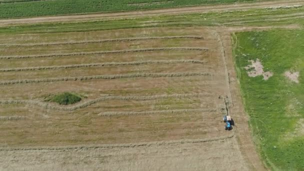 Tractor met harkschudders op het landbouwbedrijf. — Stockvideo