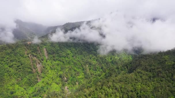 Hegyek esőerdőkkel és felhőkkel. Fülöp-szigetek, Mindanao — Stock videók