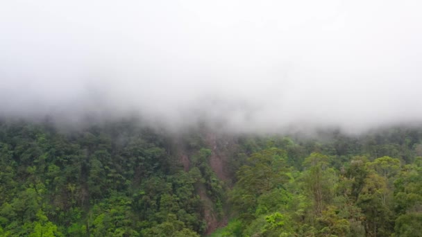 Montagnes avec forêt tropicale et nuages. Philippines, Mindanao — Video